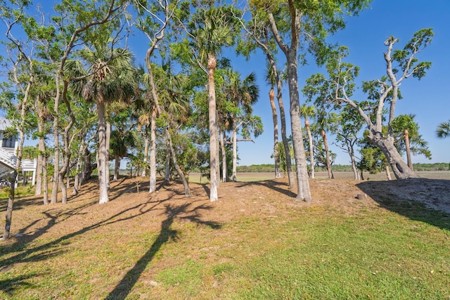 123 Jungle Rd, Edisto Island, SC 29438 - view of grassy yard