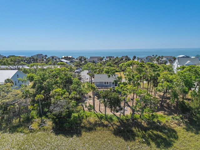 123 Jungle Rd, Edisto Island, SC 29438 - bird's eye view of a nearby body of water and a tree filled landscape