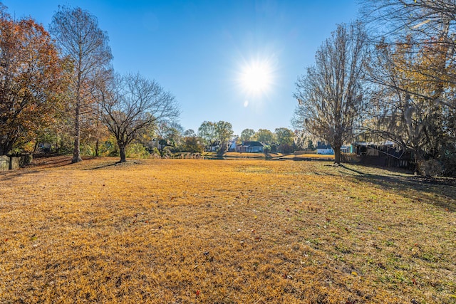 7011 Windmill Creek Rd, Charleston, SC 29414 - view of green lawn