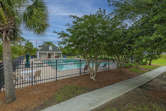 view of swimming pool with a patio area