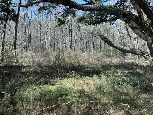 5753 Parkers Ferry Rd, Adams Run SC, 29426 land for sale