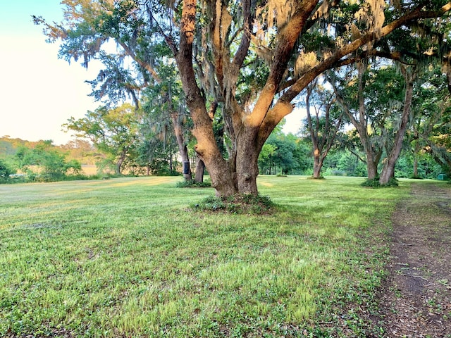 6613 Bloody Point Rd, Wadmalaw Island, SC 29487