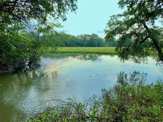 6613 Bloody Point Rd, Wadmalaw Island, SC 29487
