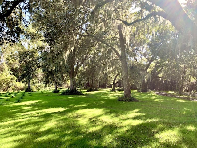 6613 Bloody Point Rd, Wadmalaw Island, SC 29487