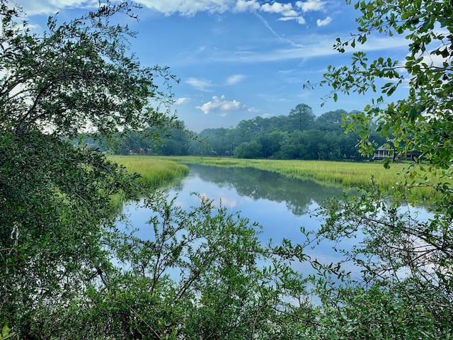 6613 Bloody Point Rd, Wadmalaw Island, SC 29487