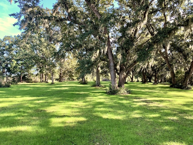 6613 Bloody Point Rd, Wadmalaw Island, SC 29487