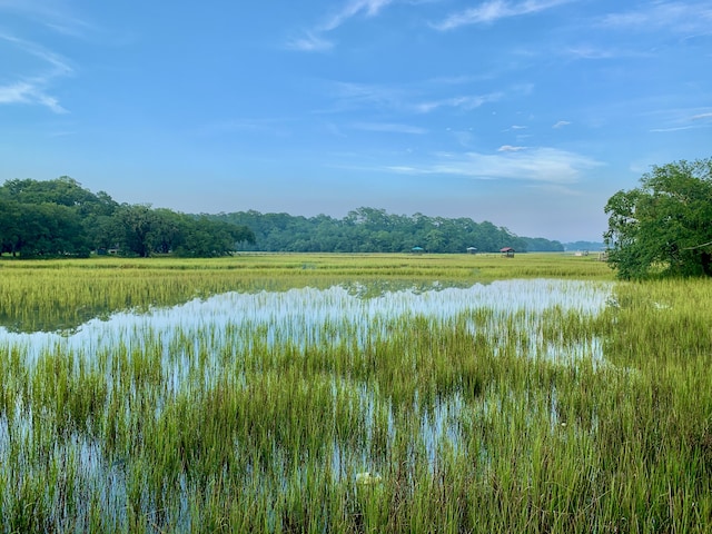 6613 Bloody Point Rd, Wadmalaw Island, SC 29487