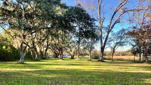 6613 Bloody Point Rd, Wadmalaw Island, SC 29487