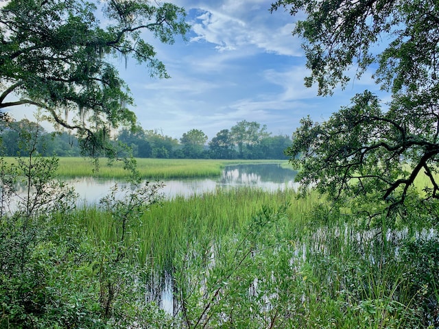 6613 Bloody Point Rd, Wadmalaw Island, SC 29487