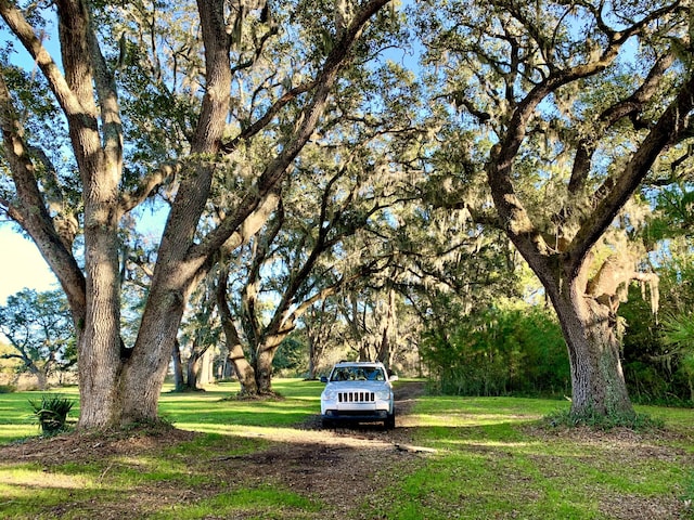 6613 Bloody Point Rd, Wadmalaw Island, SC 29487