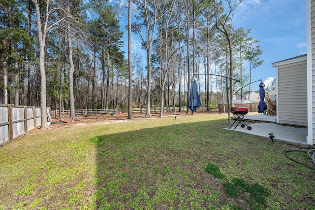 view of yard with a patio area and a fenced backyard