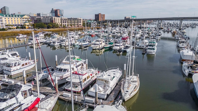 dock area with a water view