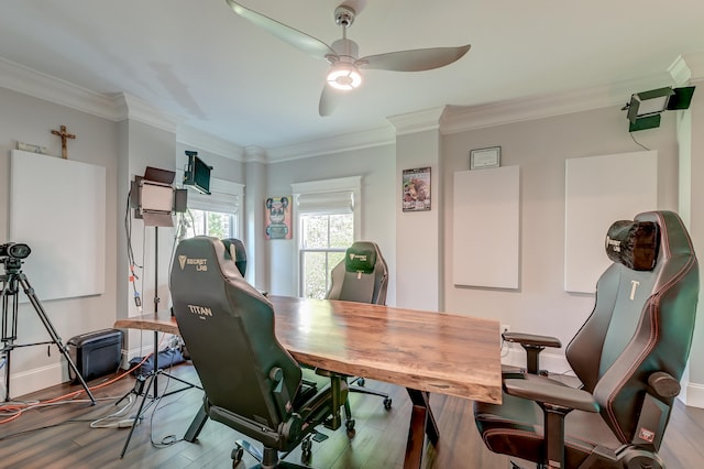 dining room with ornamental molding, ceiling fan, and light hardwood / wood-style floors