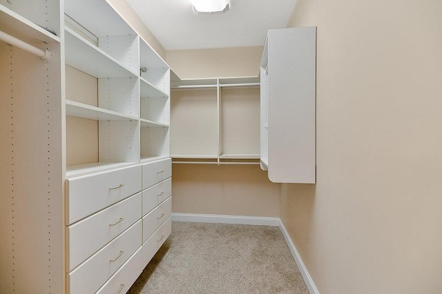 walk in closet with light carpet