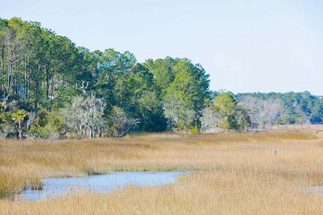 view of local wilderness featuring a water view