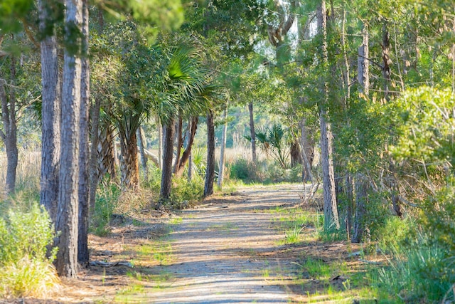 view of home's community featuring a view of trees