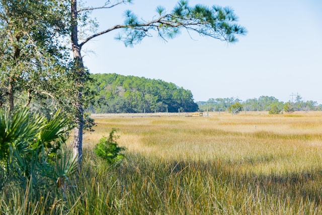 view of local wilderness featuring a rural view