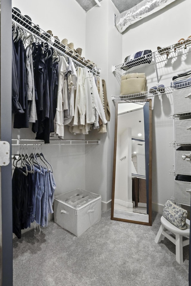 walk in closet featuring carpet flooring