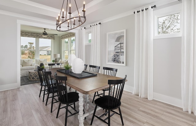 dining room with a raised ceiling, a wealth of natural light, and light wood-type flooring