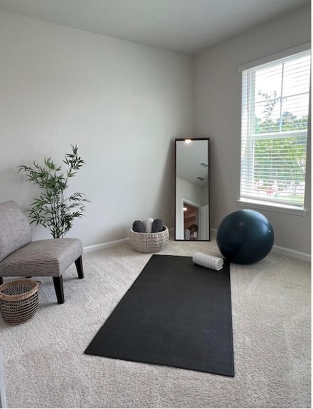 exercise area with carpet