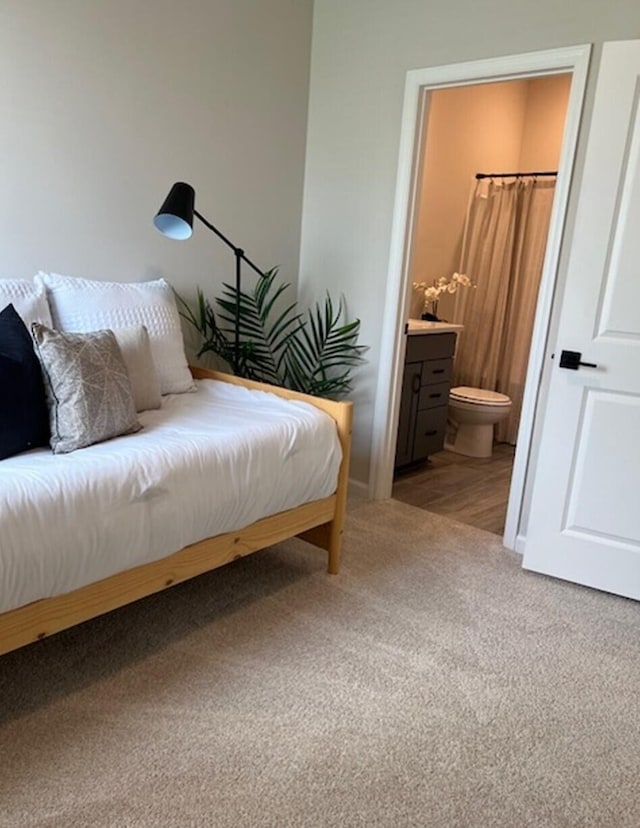 carpeted bedroom with ensuite bathroom