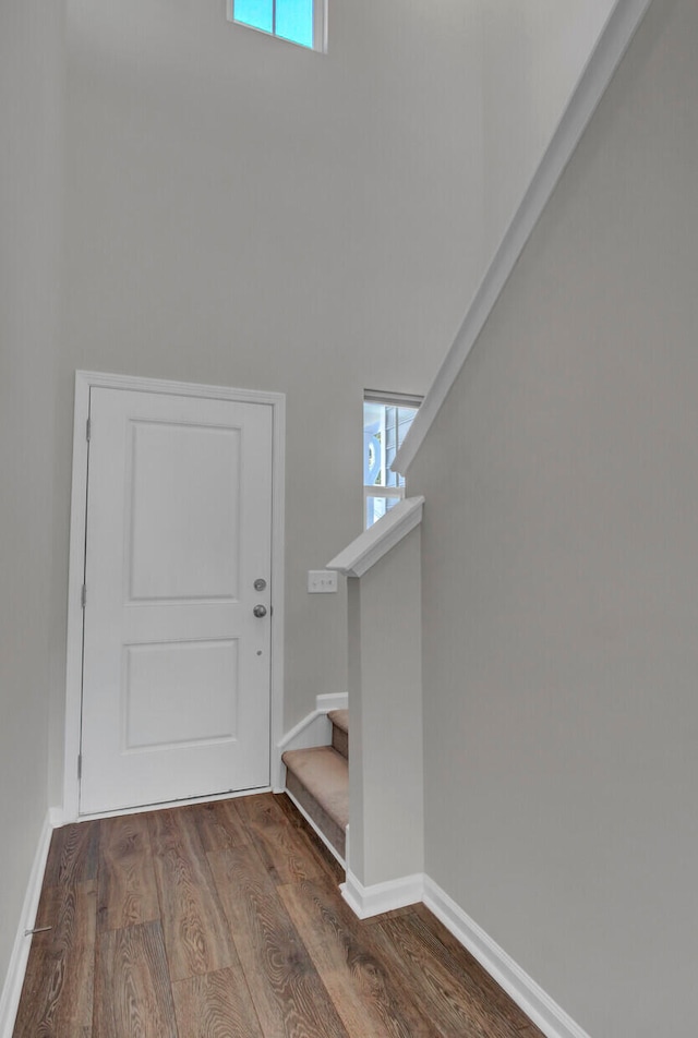 entryway featuring dark wood-type flooring