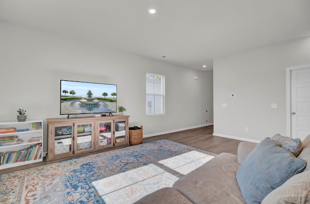 living room featuring wood-type flooring