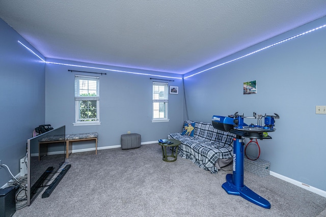 sitting room with baseboards, carpet floors, and a textured ceiling