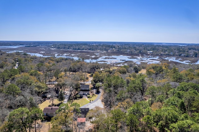 bird's eye view with a view of trees and a water view