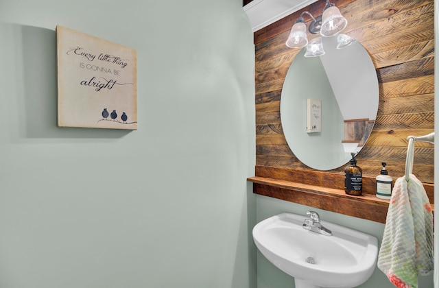 bathroom featuring wood walls and sink