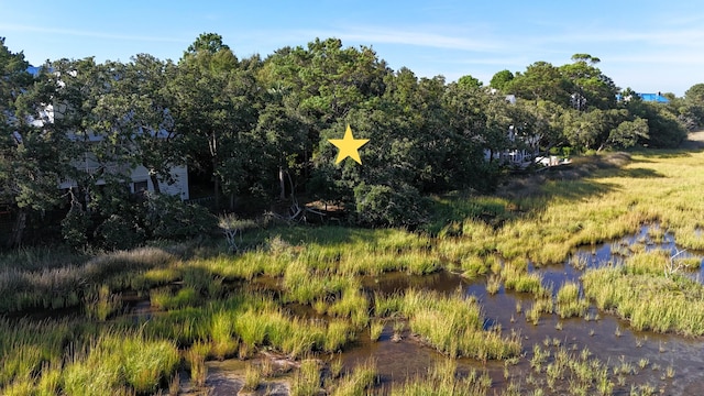 view of local wilderness with a water view