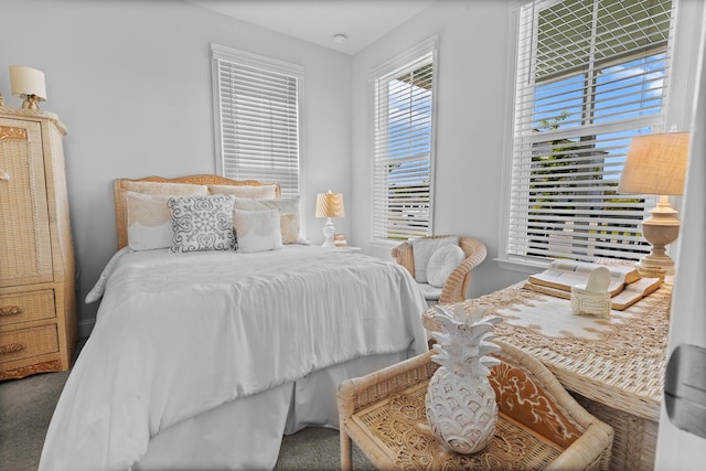 403 Cool Bend Ln, Summerville, SC 29486 - view of bedroom