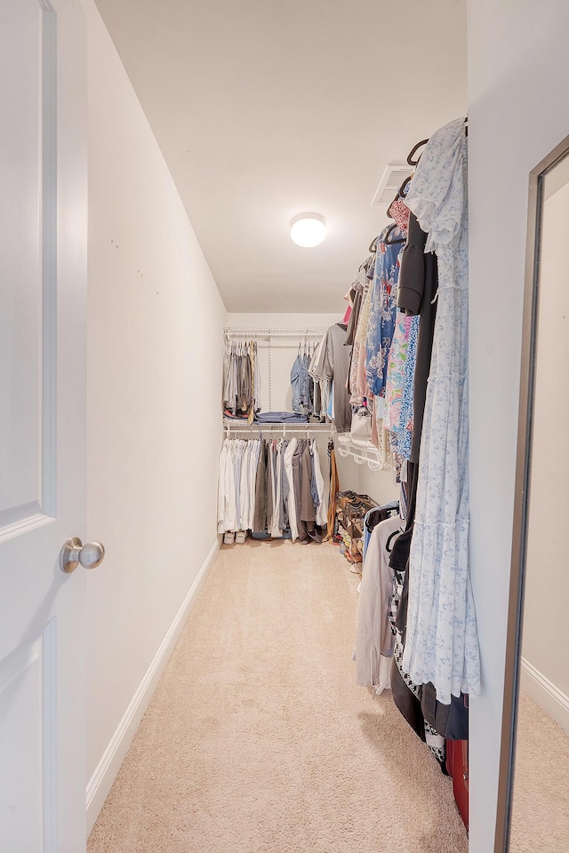 walk in closet featuring carpet flooring