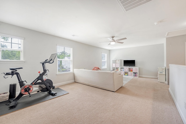workout area featuring plenty of natural light, carpet, and baseboards