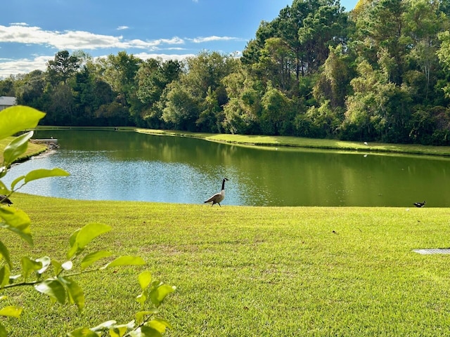 water view