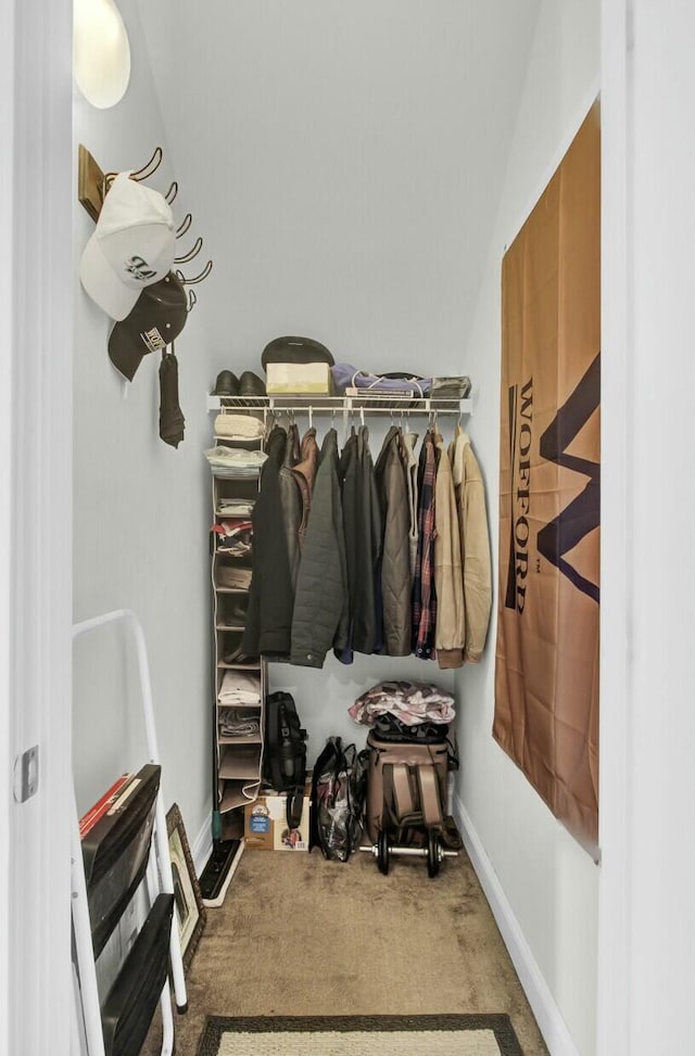 spacious closet with carpet and lofted ceiling