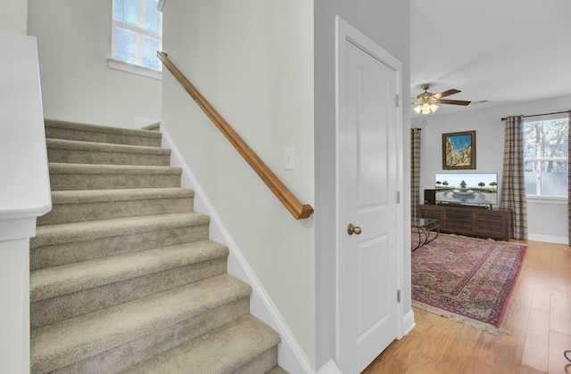 staircase with ceiling fan and hardwood / wood-style floors