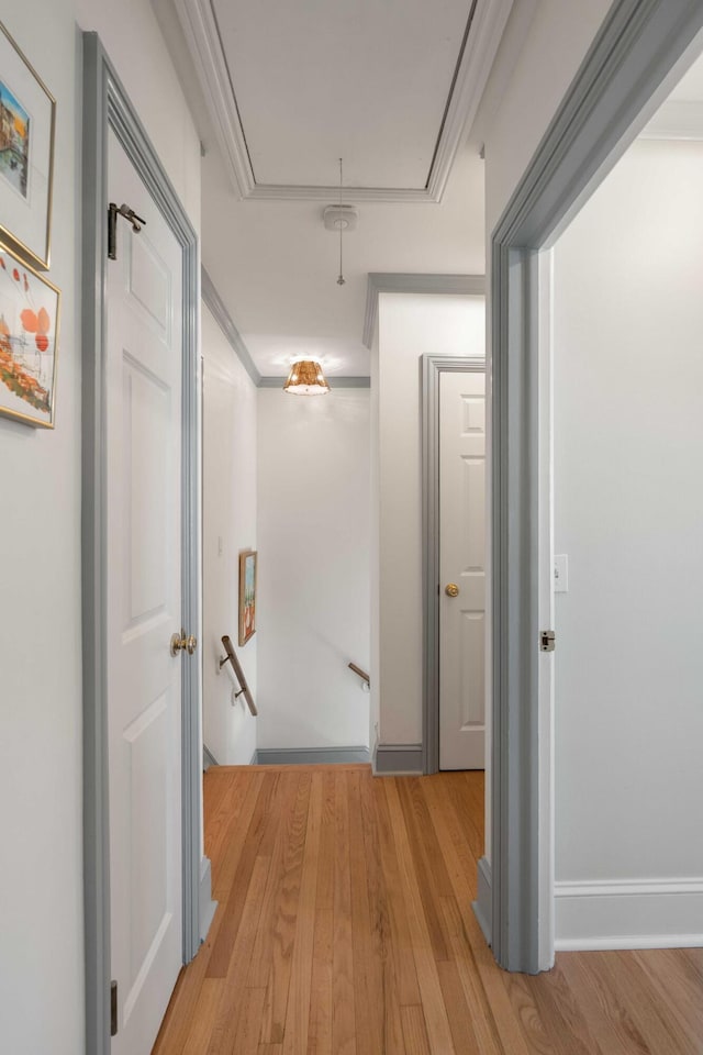 1661/2 Queen St, Charleston, SC 29401 - corridor featuring attic access, wood finished floors, an upstairs landing, baseboards, and ornamental molding