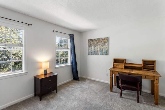 office featuring a textured ceiling and light colored carpet