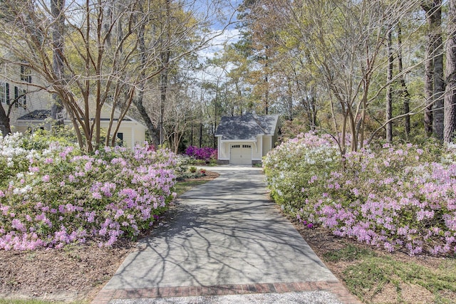 view of home's community with driveway and a garage