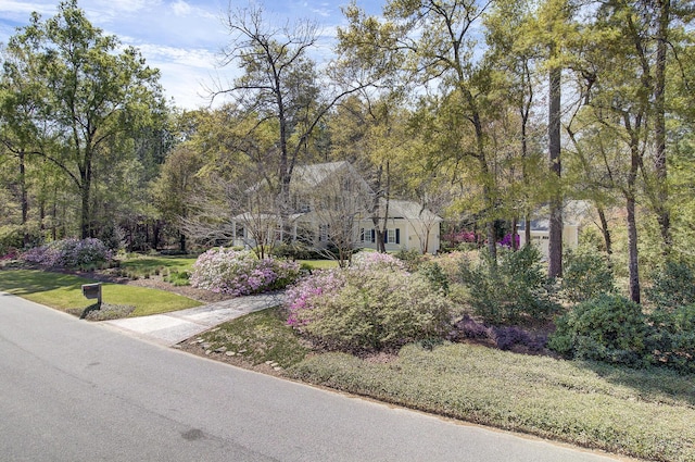 view of property's community featuring a lawn