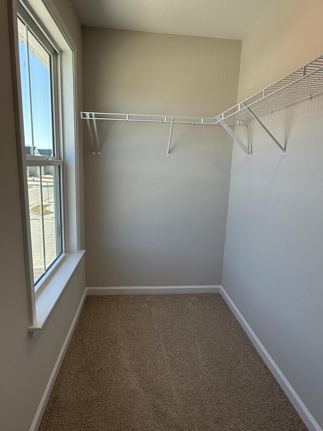 spacious closet with carpet floors