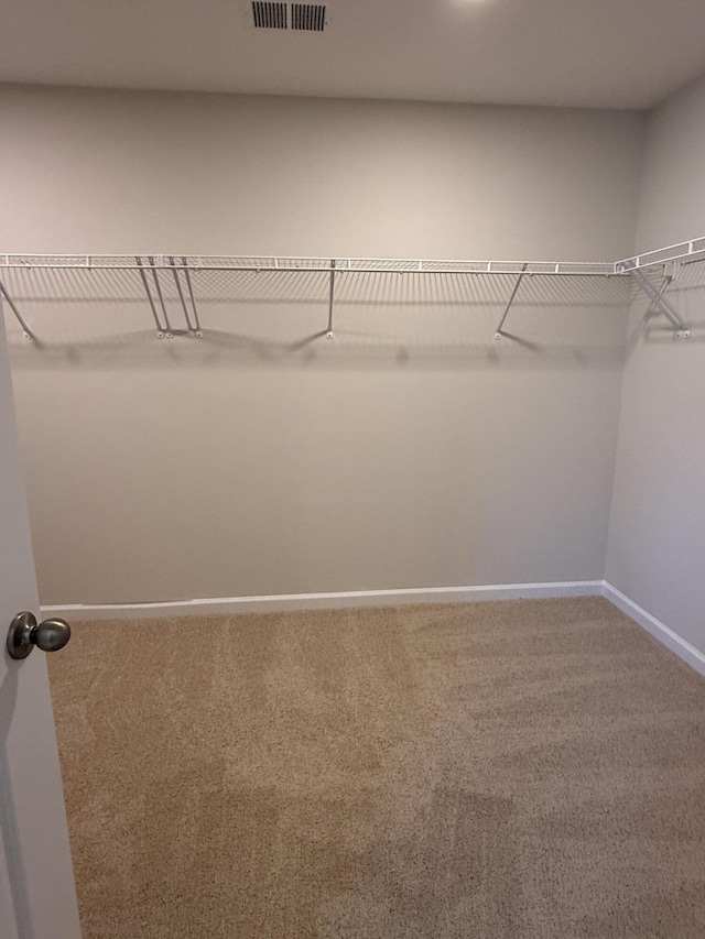 walk in closet featuring visible vents and carpet floors