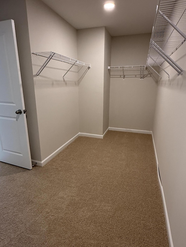 spacious closet with carpet floors