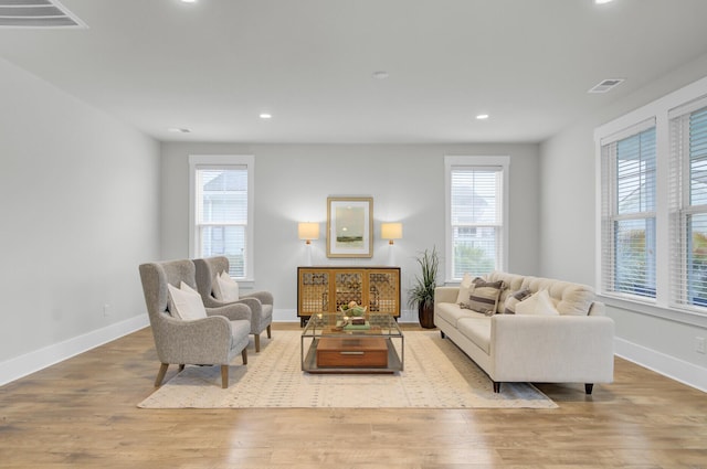 living room with light wood-type flooring and a wealth of natural light