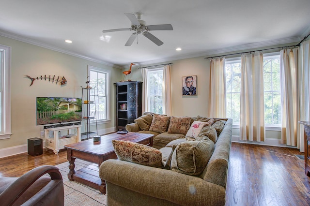 living room featuring wood-type flooring, ceiling fan, and ornamental molding