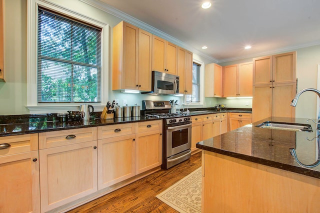 kitchen featuring plenty of natural light, stainless steel appliances, dark stone counters, and hardwood / wood-style flooring