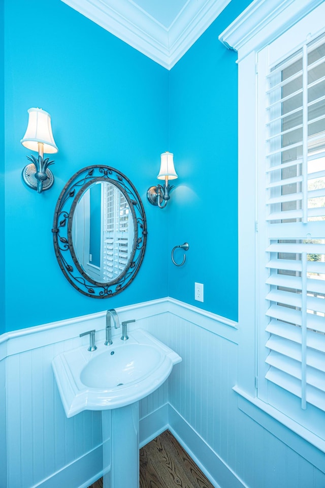 bathroom featuring wood finished floors, a wainscoted wall, and ornamental molding