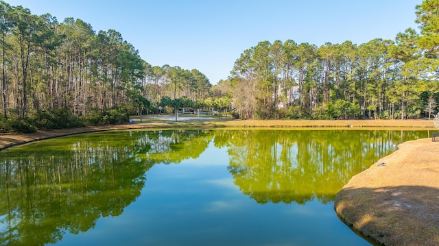 water view featuring a view of trees