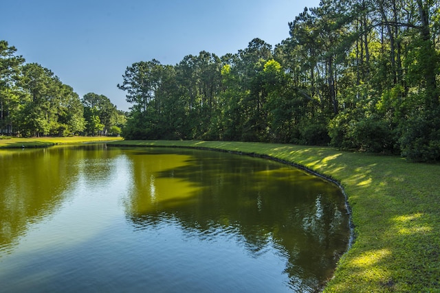 view of water feature with a wooded view